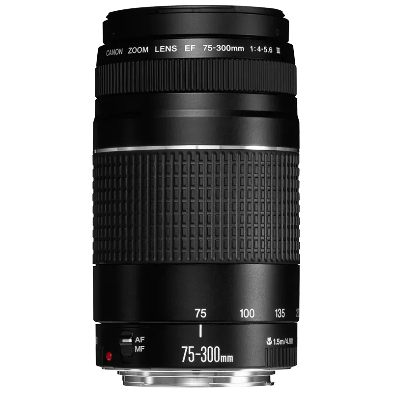 Canon EOS 4000D DSLR Camera with 18-55mm III & 75-300mm f/4-5.6 III Lenses
