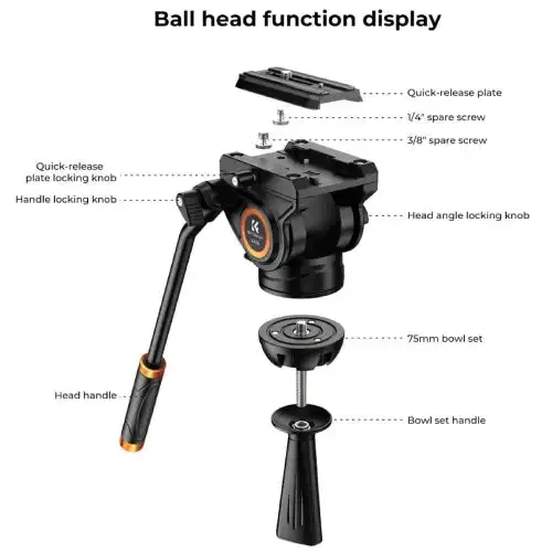 K&F Core-Director Video Tripod with 75mm Bowl and Fluid Head